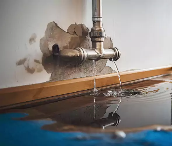 Professional Water Damage Restoration Experts in Vero Beach South, FL — Fast, Reliable & Certified