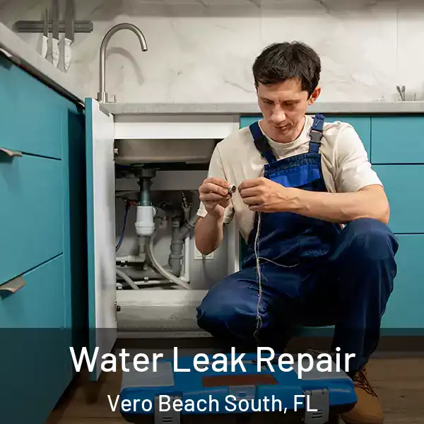 Water Leak Repair Vero Beach South, FL
